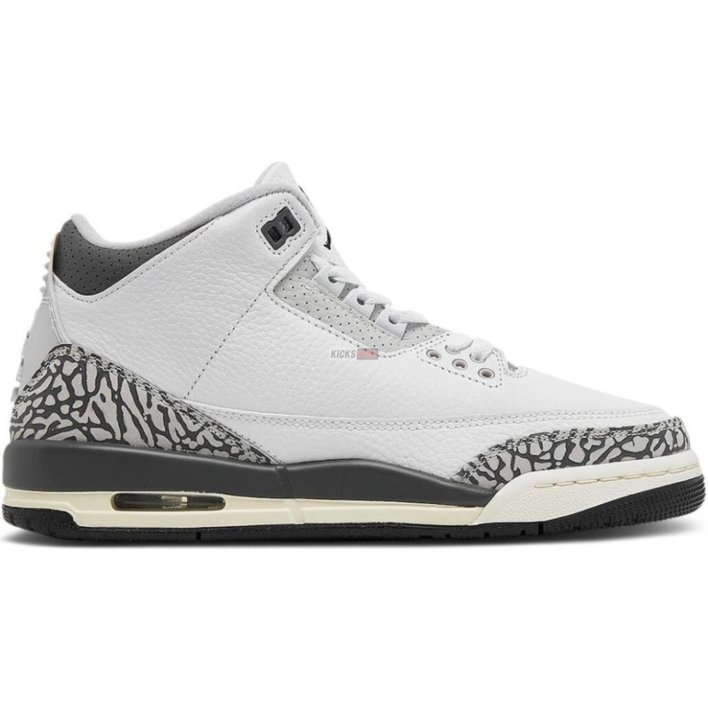 Air Jordan 3 Retro GS ''Hide N'' Sneak''