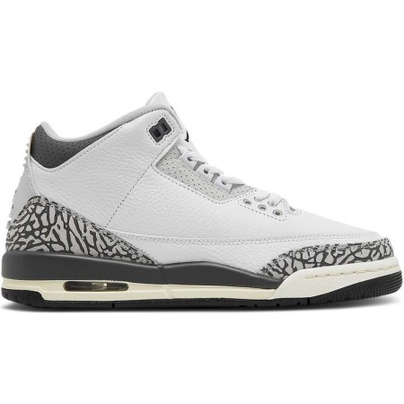 Air Jordan 3 Retro GS 'Hide N' Sneak'