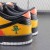 Dunk Low Pro SB 'Raygun'