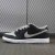 Dunk Low SB 'J-Pack Shadow'