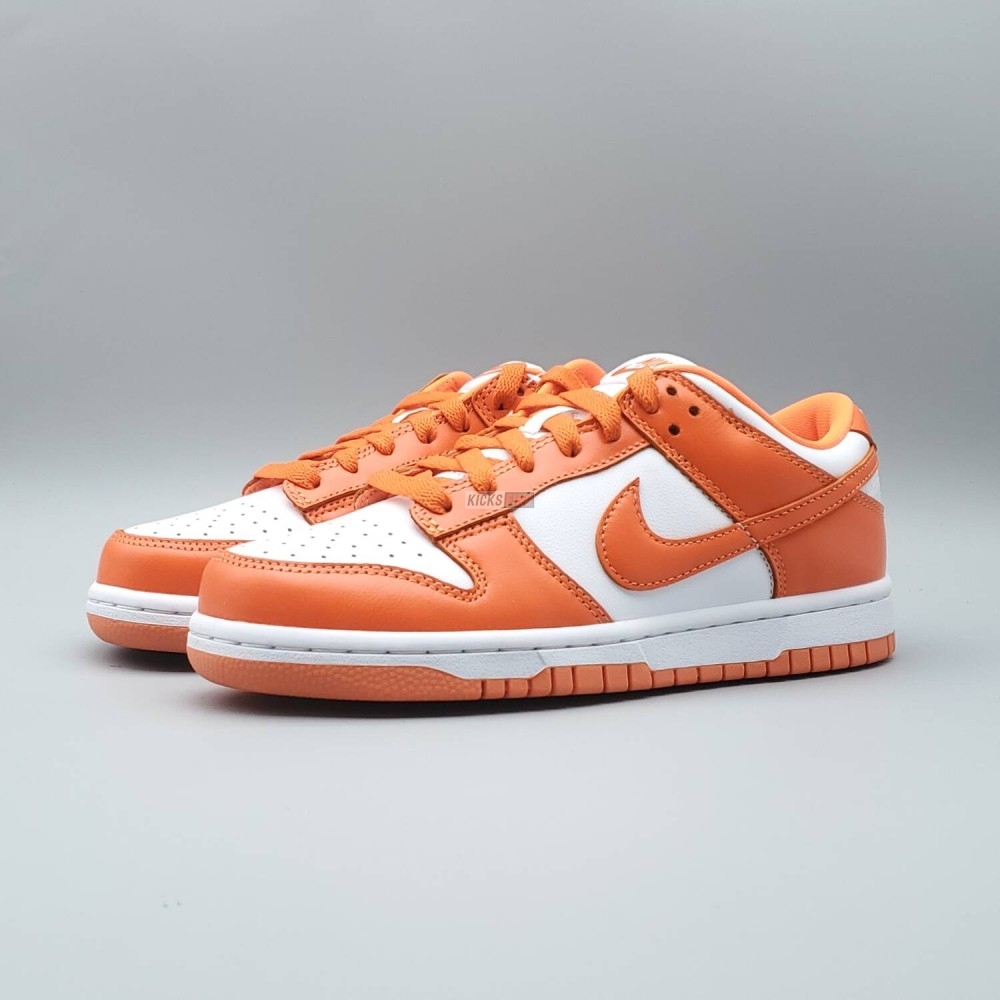 Dunk Low Retro SP 