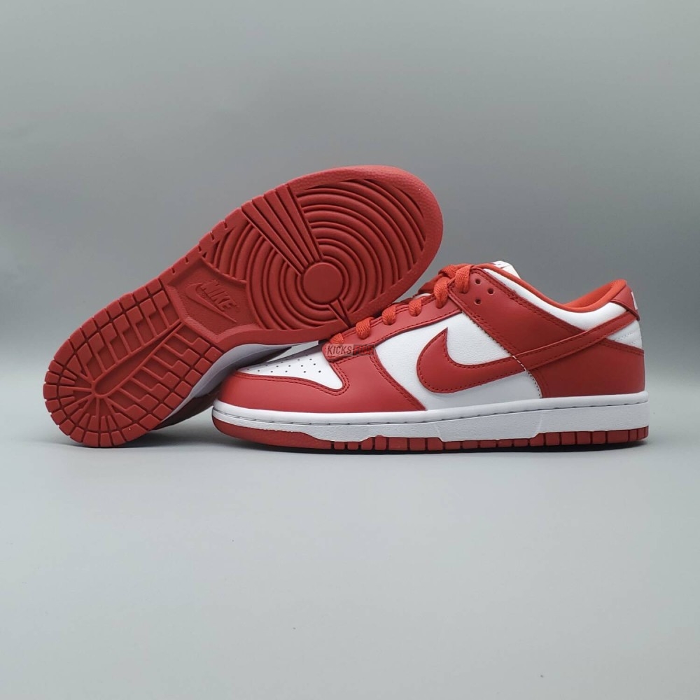 Dunk Low Retro SP 