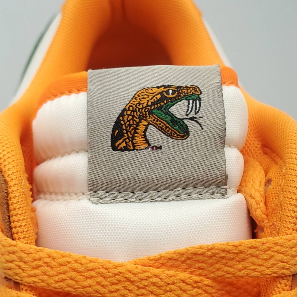 Florida A&M University x Dunk Low 