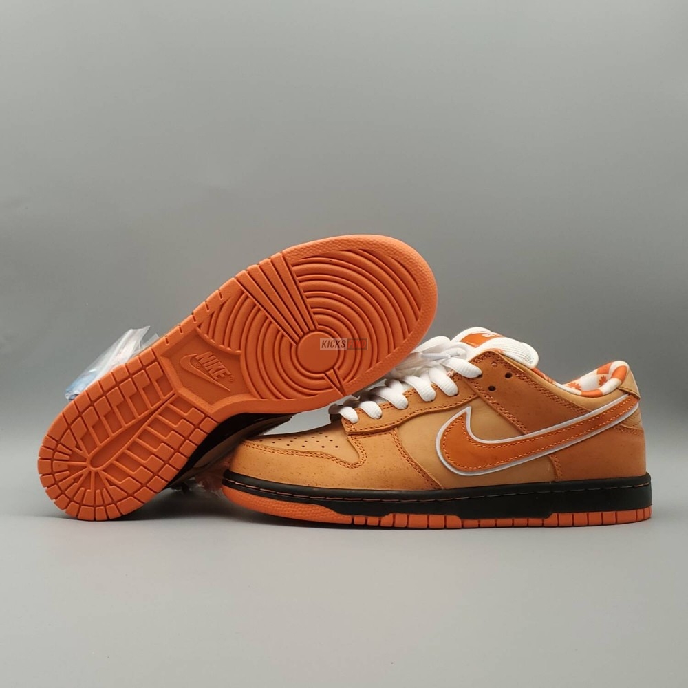 Concepts x Dunk Low SB 