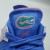 Air Jordan 4 Retro 'Florida Gators' PE