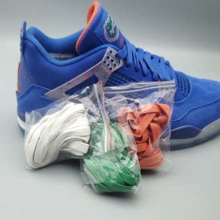 Air Jordan 4 Retro 'Florida Gators' PE