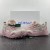 Off-White Wmns ODSY-1000 'Pink'