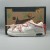 Off-White x Dunk Low 'Lot 33 of 50'