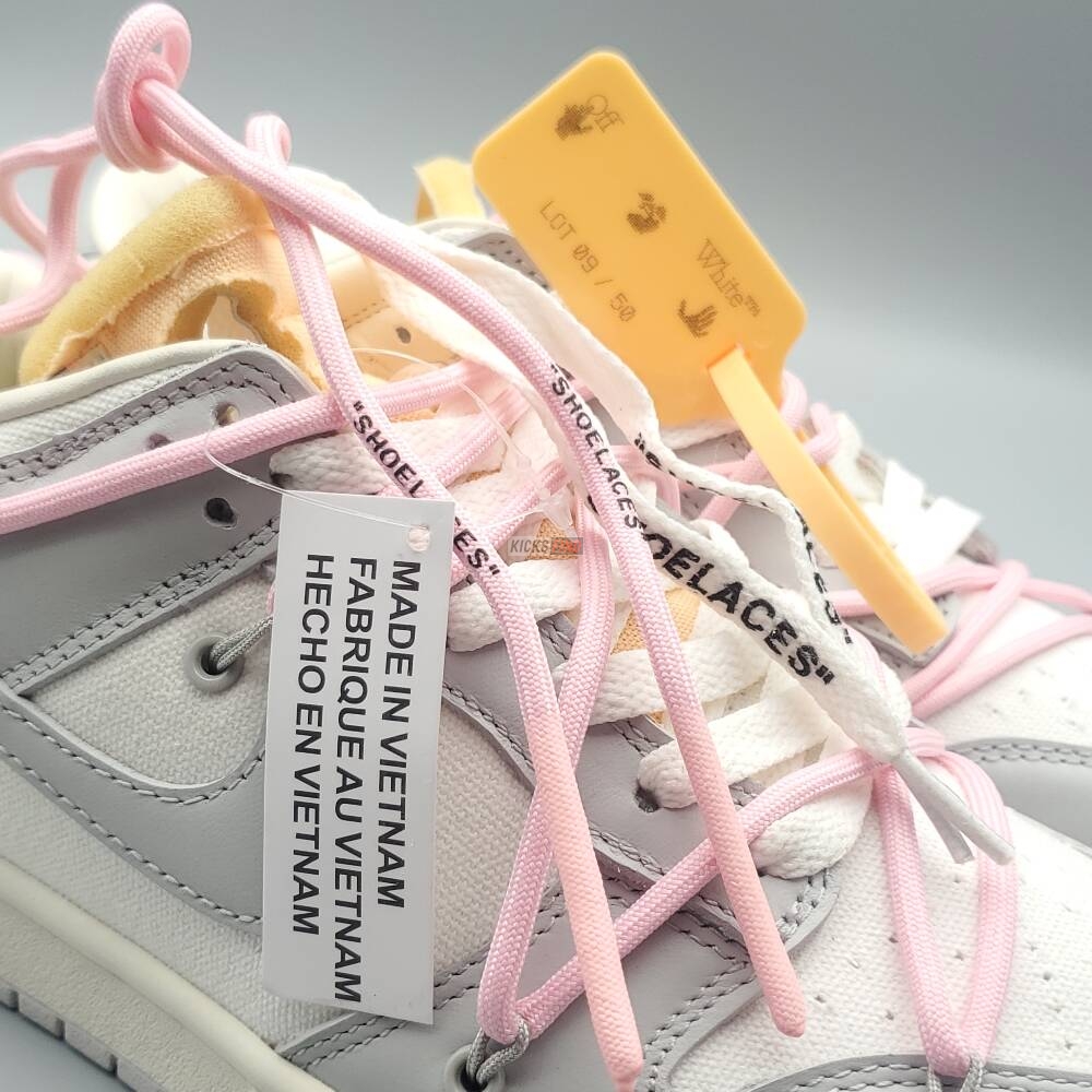 Off-White x Dunk Low 