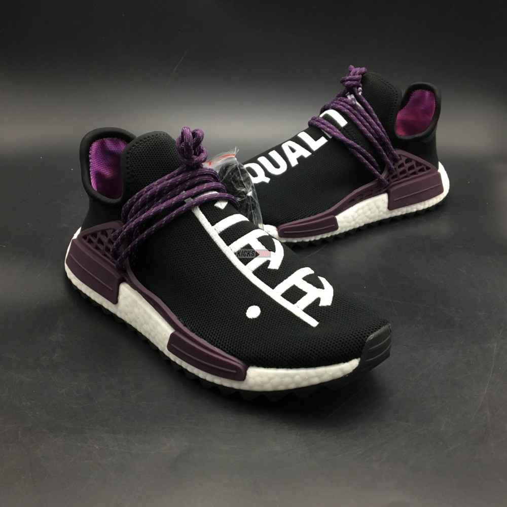 Pharrell x NMD Human Race Trail 