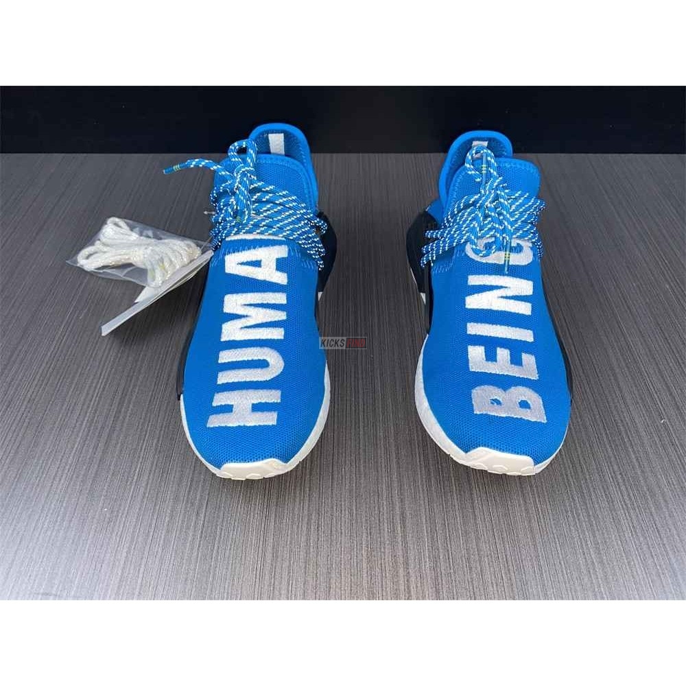 Pharrell x NMD Human Race 