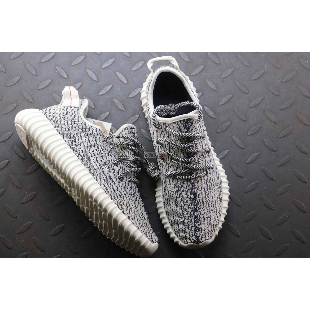 Yeezy Boost 350 