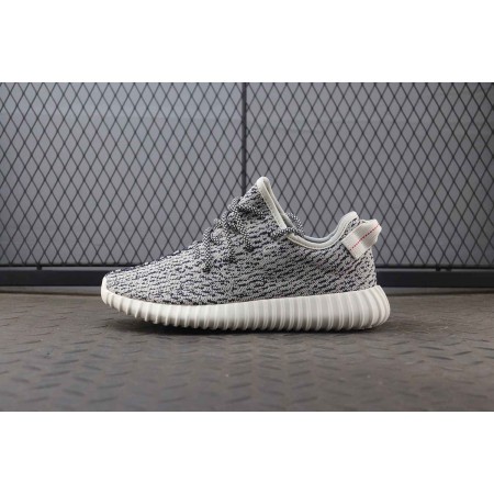 Yeezy Boost 350 'Turtle Dove'