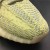 Yeezy Boost 350 V2 'Antlia Non-Reflective'